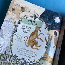 Load image into Gallery viewer, Glow