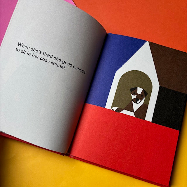 Singer The Paint SHELF EDITIONS singer-the-paint-shelf-editions