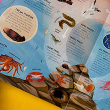 Load image into Gallery viewer, The Lift-the-Flap Encyclopaedia of Oceans : 200 Flaps to Explore!