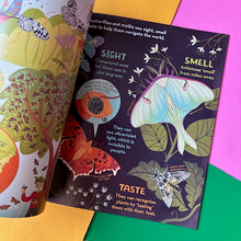 Load image into Gallery viewer, What's Inside a Caterpillar Cocoon?