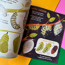 Load image into Gallery viewer, What's Inside a Caterpillar Cocoon?