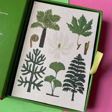 Load image into Gallery viewer, Arboretum Postcard Set