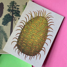 Load image into Gallery viewer, Arboretum Postcard Set