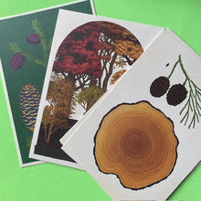 Load image into Gallery viewer, Arboretum Postcard Set