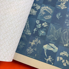 Load image into Gallery viewer, The Collage Compendium : 2,000 Images to Cut Out & Collage