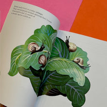 Load image into Gallery viewer, The Biggest House In The World