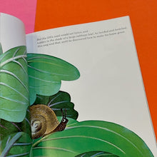 Load image into Gallery viewer, The Biggest House In The World