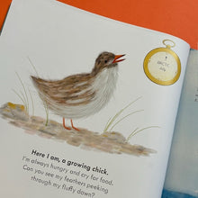 Load image into Gallery viewer, Small, Speckled Egg