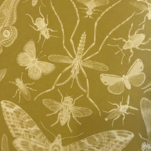 Load image into Gallery viewer, Insectarium