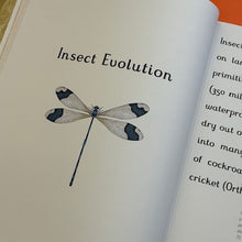 Load image into Gallery viewer, Insectarium