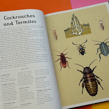 Load image into Gallery viewer, Insectarium