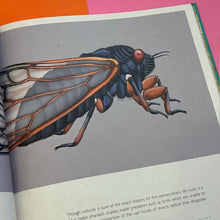 Load image into Gallery viewer, Insectarium