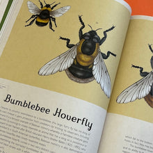 Load image into Gallery viewer, Insectarium