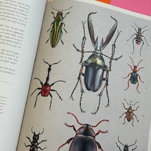 Load image into Gallery viewer, Insectarium