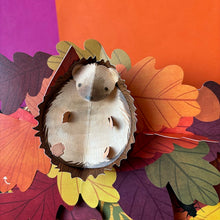 Load image into Gallery viewer, Leaves : An Autumn Pop-Up Book