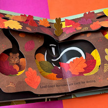 Load image into Gallery viewer, Leaves : An Autumn Pop-Up Book