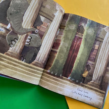 Load image into Gallery viewer, Have You Seen Dinosaur?