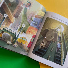 Load image into Gallery viewer, Have You Seen Dinosaur?