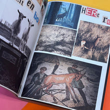 Load image into Gallery viewer, Animal Books for Jaap, Zeno, Anna, Julian & Luca