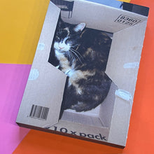 Load image into Gallery viewer, Animal Books for Jaap, Zeno, Anna, Julian & Luca