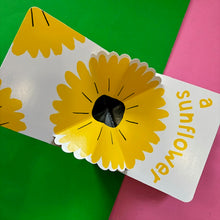 Load image into Gallery viewer, Yellow Pop