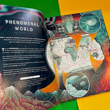 Load image into Gallery viewer, Bang