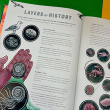 Load image into Gallery viewer, Bang