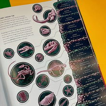 Load image into Gallery viewer, Bang