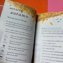 Load image into Gallery viewer, A Field Guide to Autumn : Play and learn in nature