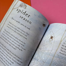 Load image into Gallery viewer, A Field Guide to Autumn : Play and learn in nature