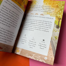 Load image into Gallery viewer, A Field Guide to Autumn : Play and learn in nature