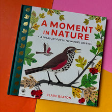 Load image into Gallery viewer, A Moment in Nature : A Treasury for Little Nature Lovers