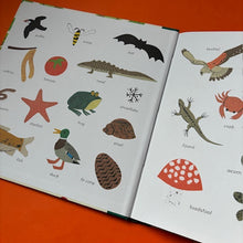 Load image into Gallery viewer, A Moment in Nature : A Treasury for Little Nature Lovers