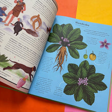 Load image into Gallery viewer, The Stuff That Stuff is Made of:The Things We Make With Plants