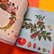 Load image into Gallery viewer, The Stuff That Stuff is Made of:The Things We Make With Plants