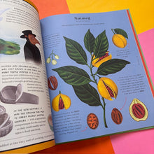 Load image into Gallery viewer, The Stuff That Stuff is Made of:The Things We Make With Plants