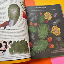 Load image into Gallery viewer, The Stuff That Stuff is Made of:The Things We Make With Plants