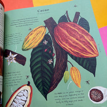 Load image into Gallery viewer, The Stuff That Stuff is Made of:The Things We Make With Plants