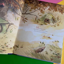 Load image into Gallery viewer, The Shelter