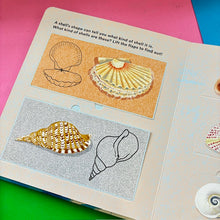Load image into Gallery viewer, Shells... and What They Hide Inside.