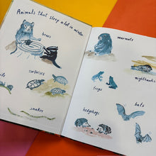 Load image into Gallery viewer, The Most Beautiful Winter