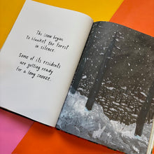 Load image into Gallery viewer, The Most Beautiful Winter