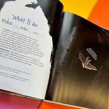 Load image into Gallery viewer, Sound - Discovering the Vibrations We Hear