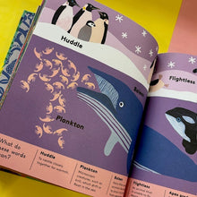 Load image into Gallery viewer, Little Word Whizz: Animal Words For Little Zoologists