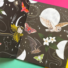 Load image into Gallery viewer, Chasing The Moon: A captivating journey through its magical phases