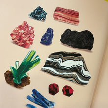 Load image into Gallery viewer, What A Rock Can Reveal
