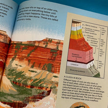 Load image into Gallery viewer, What A Rock Can Reveal