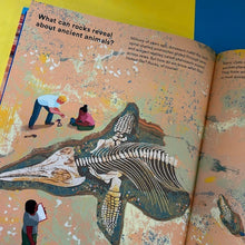 Load image into Gallery viewer, What A Rock Can Reveal