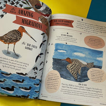 Load image into Gallery viewer, Fly