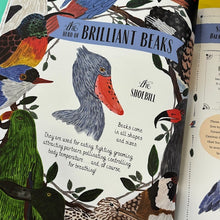 Load image into Gallery viewer, Fly